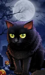 Spooky Halloween