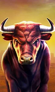Black Bull